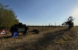 Teren IV 12.227 mp, platformă betonată, minifotbal, teren agricol, loc. Milovan