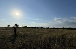 Teren IV 12.227 mp, platformă betonată, minifotbal, teren agricol, loc. Milovan