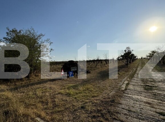 Teren de vânzare Exterior Vest - 157391TV | BLITZ Craiova | Poza13