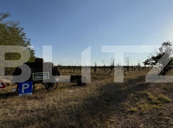 Teren de vânzare Exterior Vest - 157391TV | BLITZ Craiova | Poza14