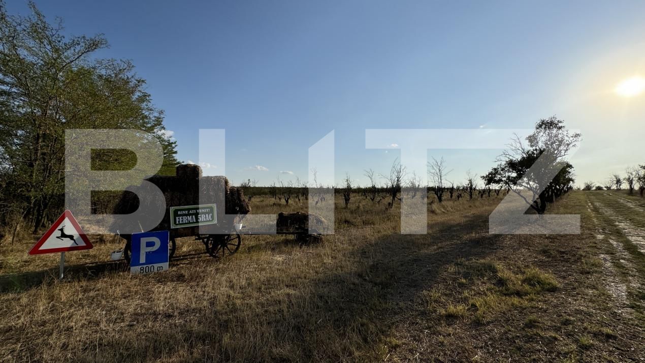 Teren de vânzare Exterior Vest - 157391TV | BLITZ Craiova | Poza14