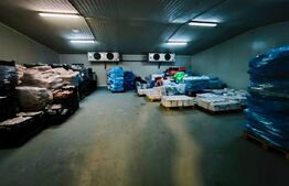 Spații de depozitare frigorifica si refrigerare, zona Viitorul