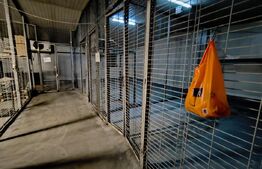 Spații de depozitare frigorifica si refrigerare, zona Viitorul