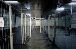 Spații de depozitare frigorifica si refrigerare, zona Viitorul