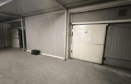 Spații de depozitare frigorifica si refrigerare, zona Viitorul