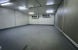 Spații de depozitare frigorifica si refrigerare, zona Viitorul