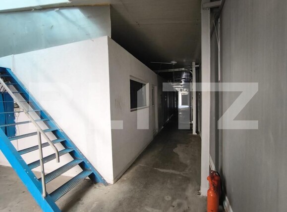 Spațiu comercial de închiriat Lapus Arges - 157460SIC | BLITZ Craiova | Poza3