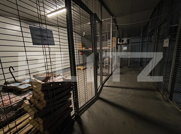 Spațiu comercial de închiriat Lapus Arges - 157460SIC | BLITZ Craiova | Poza4