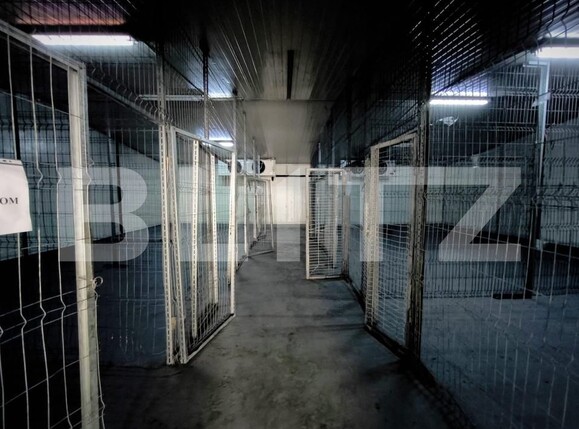 Spațiu comercial de închiriat Lapus Arges - 157460SIC | BLITZ Craiova | Poza6