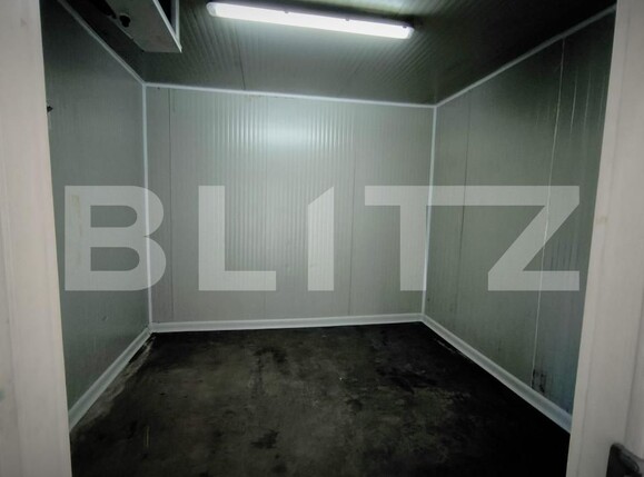 Spațiu comercial de închiriat Lapus Arges - 157460SIC | BLITZ Craiova | Poza8