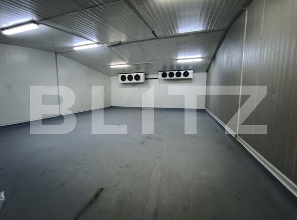 Spațiu comercial de închiriat Lapus Arges - 157460SIC | BLITZ Craiova | Poza10