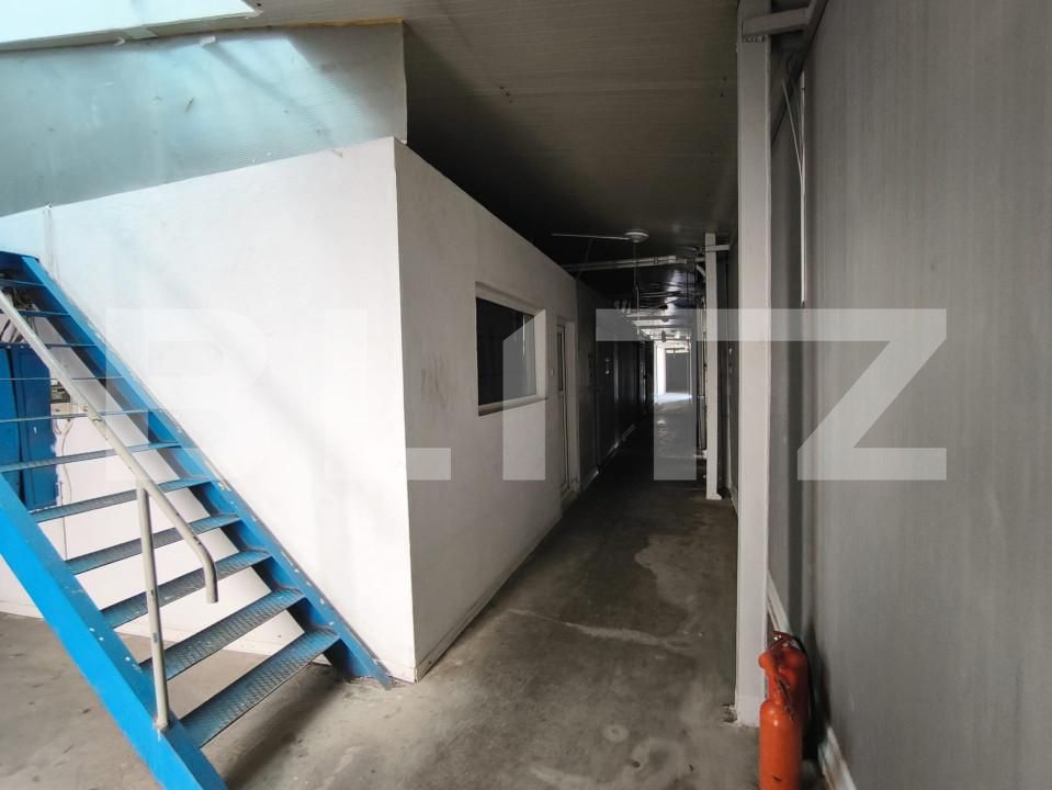 Spațiu comercial de închiriat Lapus Arges - 157460SIC | BLITZ Craiova | Poza3