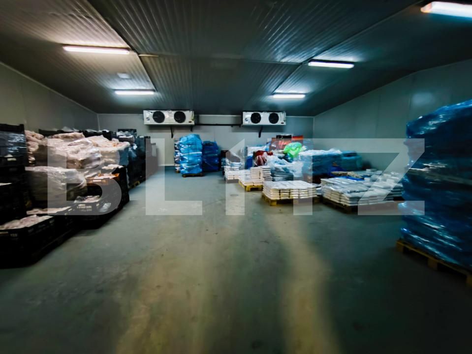 Spațiu comercial de închiriat Lapus Arges - 157460SIC | BLITZ Craiova | Poza9