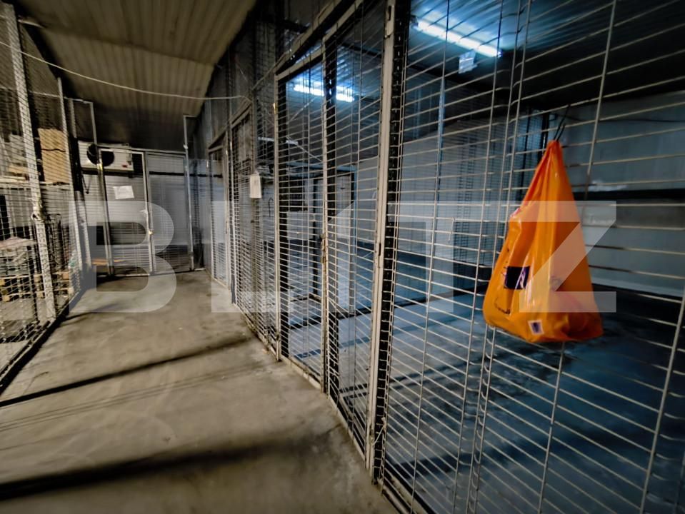 Spațiu comercial de închiriat Lapus Arges - 157460SIC | BLITZ Craiova | Poza5