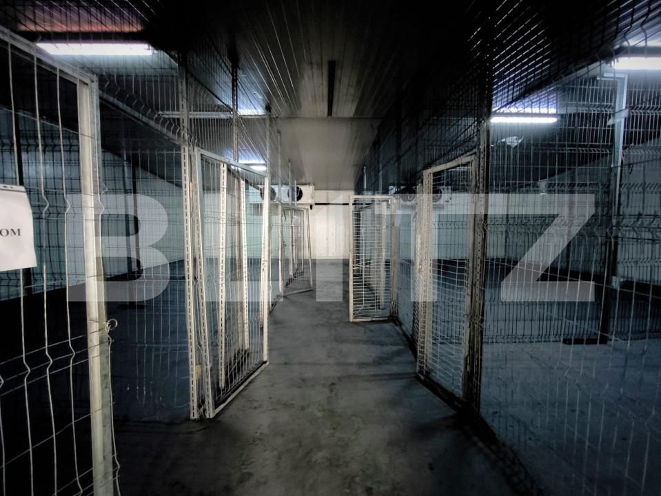 Spațiu comercial de închiriat Lapus Arges - 157460SIC | BLITZ Craiova | Poza6