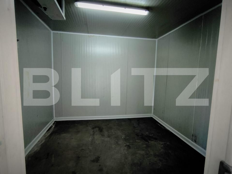 Spațiu comercial de închiriat Lapus Arges - 157460SIC | BLITZ Craiova | Poza8