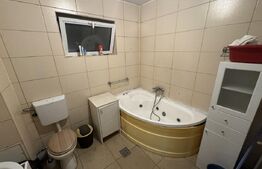 Casă P+1, 107 mp, 236 mp teren, zona Rovine