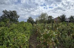 Casa in Carcea 2000 mp de teren, front de 17 ml la strada, toate utilitatile.