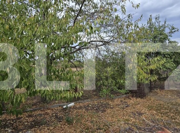 Casa de vânzare 4 camere Carcea  - 157515CV | BLITZ Craiova | Poza7