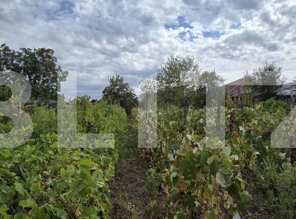 Casa de vânzare 4 camere Carcea  - 157515CV | BLITZ Craiova | Poza6