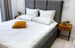 Apartament cu 2 camere, modern/lux, zona Brazda curte privata 