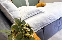 Apartament cu 2 camere, modern/lux, zona Brazda curte privata 