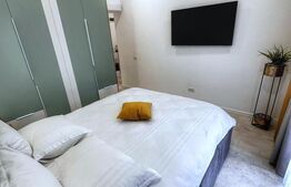 Apartament cu 2 camere, modern/lux, zona Brazda curte privata 