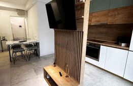 Apartament cu 2 camere, modern/lux, zona Brazda curte privata 