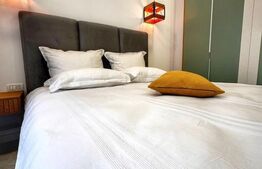 Apartament cu 2 camere, modern/lux, zona Brazda curte privata 