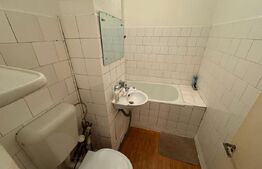 Garsoniera, zona Lapus