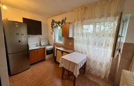 Garsoniera, zona Lapus