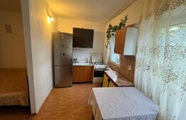 Garsoniera, zona Lapus