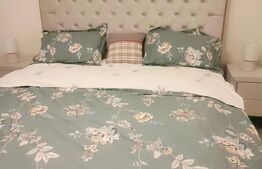 Apartament, 3 camere, cartier 1 Mai, zona Ciuperca