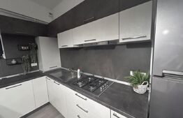 Penthouse cu 3 camere, 2 bai,  terasa 40 mp, zona centrala