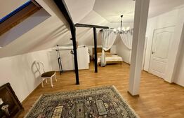 Apartament 3 camere 160mp+curte 300mp, AC, centrala termica, zona Ford