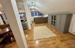 Apartament 3 camere 160mp+curte 300mp, AC, centrala termica, zona Ford