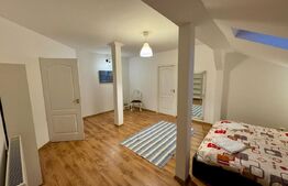 Apartament 3 camere 160mp+curte 300mp, AC, centrala termica, zona Ford
