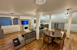 Apartament 3 camere 160mp+curte 300mp, AC, centrala termica, zona Ford