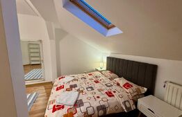Apartament 3 camere 160mp+curte 300mp, AC, centrala termica, zona Ford