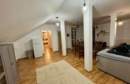 Apartament 3 camere 160mp+curte 300mp, AC, centrala termica, zona Ford