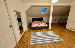 Apartament 3 camere 160mp+curte 300mp, AC, centrala termica, zona Ford