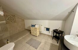 Apartament 3 camere 160mp+curte 300mp, AC, centrala termica, zona Ford