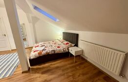 Apartament 3 camere 160mp+curte 300mp, AC, centrala termica, zona Ford