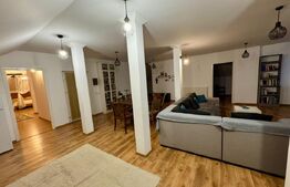 Apartament 3 camere 160mp+curte 300mp, AC, centrala termica, zona Ford