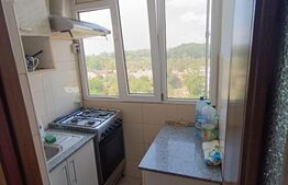 Apartament 2 camere, Craiovita Noua, zona Materna-Rocada