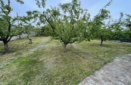 Casa 5 camere, 140 mp, teren de 800 mp, Simnicul de Jos