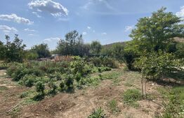 Teren 800 mp, fundatie 125 mp, 20 m deschidere, toate utilitatile, Livezi