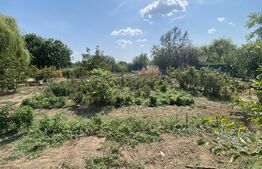 Teren 800 mp, fundatie 125 mp, 20 m deschidere, toate utilitatile, Livezi