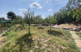 Teren 800 mp, fundatie 125 mp, 20 m deschidere, toate utilitatile, Livezi