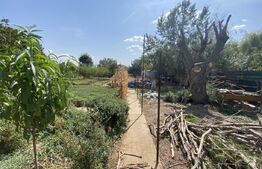 Teren 800 mp, fundatie 125 mp, 20 m deschidere, toate utilitatile, Livezi